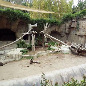 Sloth Bear Grotto