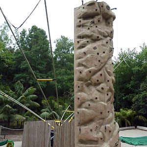 Wall Climbing Attraction