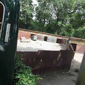 Wild asia off exhibit- deer