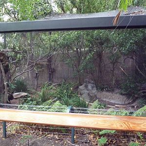 Bird Aviary (3 Species)