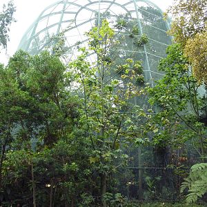 Owens Aviary (End View)