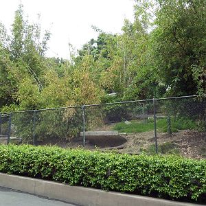 Western Tufted Deer Exhibit