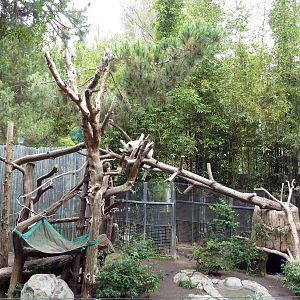 Giant Panda Exhibit
