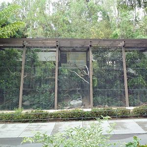 Hornbill Aviaries