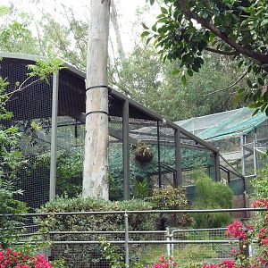Jaguar Exhibit + Off-Exhibit Enclosure