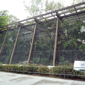 Hornbill Aviaries