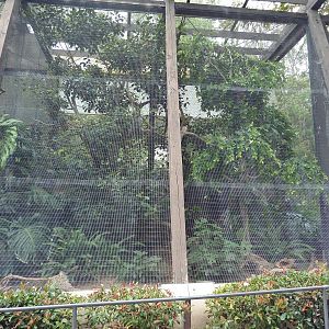 Reeves's Pheasant/Great Hornbill Exhibit