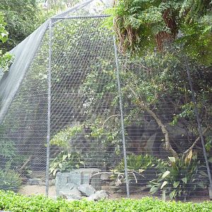 Bird Aviary (6 Species)