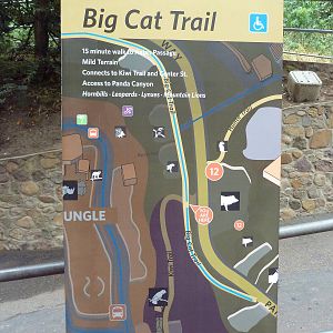 Big Cat Trail Map