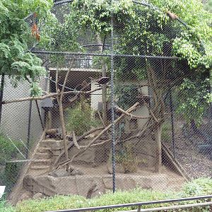 Fossa Cage