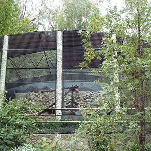 Snow Leopard Exhibit