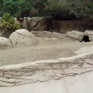 Warthog Exhibit
