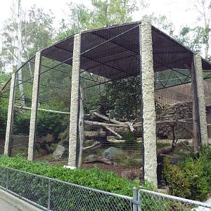 Siberian Lynx Exhibit