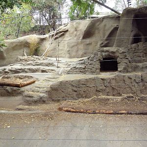 Spotted Hyena Exhibit