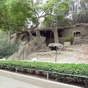 Spotted Hyena Exhibits