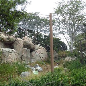 Bateleur Eagle Exhibit