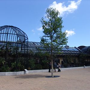 Renovated Bird-House 1