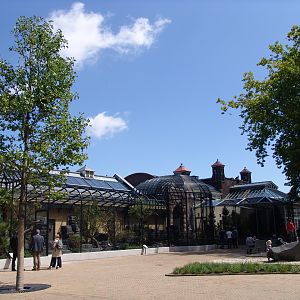 Renovated Bird-House 2