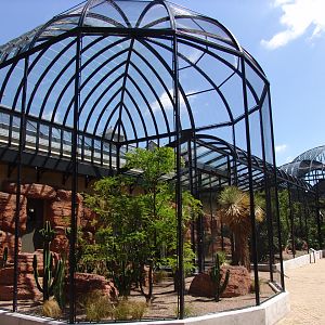 Renovated Bird-House 3