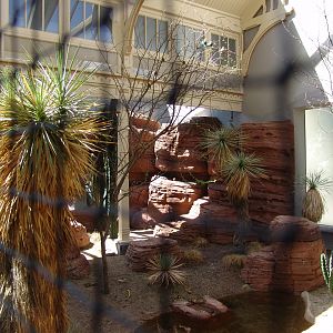 'Arid Regions' aviary 1