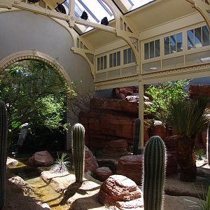 'Arid Regions' aviary 2