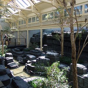 'Wetlands & Shore' themed section