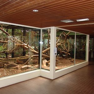 Small Mammals House 1