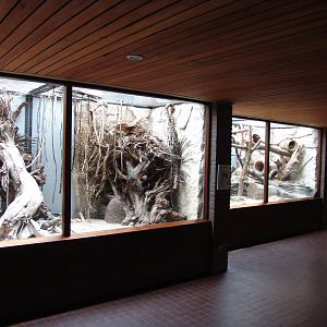 Small Mammal House 2