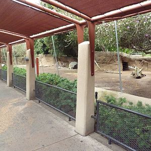 Parma Wallaby Exhibit