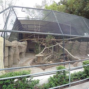 Ring-Tailed Lemur/Rock Hyrax Exhibit