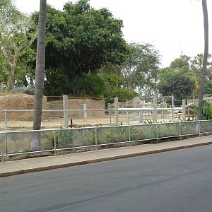 Indian Rhino Exhibit