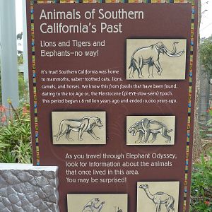 Elephant Odyssey - Entrance Sign
