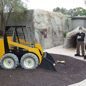 Elephant Odyssey - Fossil Dig