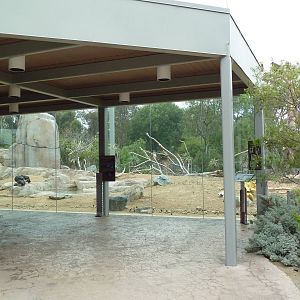 Elephant Odyssey - California Condor Exhibit