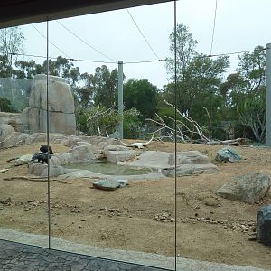 Elephant Odyssey - California Condor Exhibit