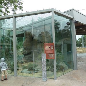 Elephant Odyssey - Rattlesnake Exhibit (3 Species)