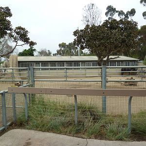 Elephant Odyssey - Horse/Burro Exhibit