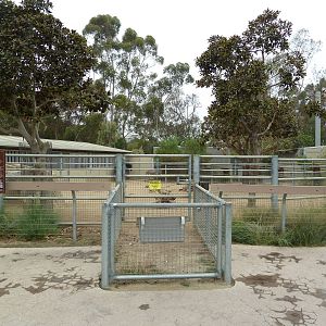 Elephant Odyssey - Horse/Burro Exhibit