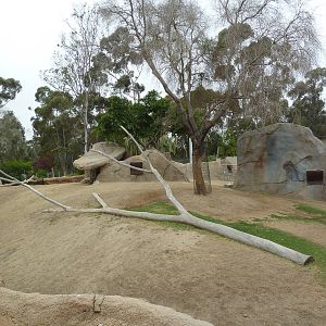 Elephant Odyssey - Pronghorn/Dromedary/Llama Exhibit