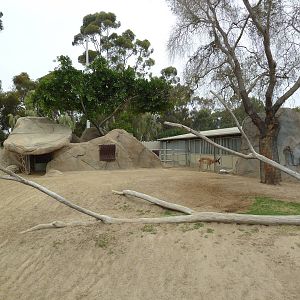 Elephant Odyssey - Pronghorn/Dromedary/Llama Exhibit