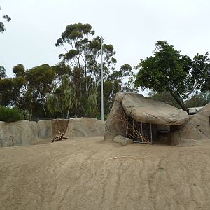 Elephant Odyssey - Pronghorn/Dromedary/Llama Exhibit