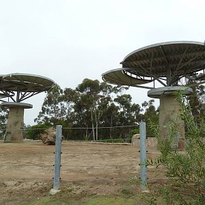 Elephant Odyssey - Asian Elephant Exhibit