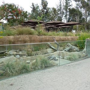 Elephant Odyssey - Streamside Exhibit