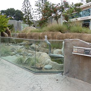Elephant Odyssey - Streamside Exhibit