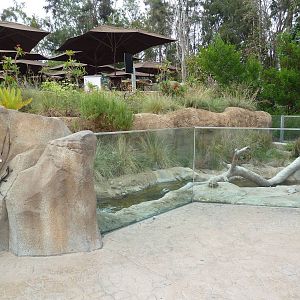 Elephant Odyssey - Streamside Exhibit