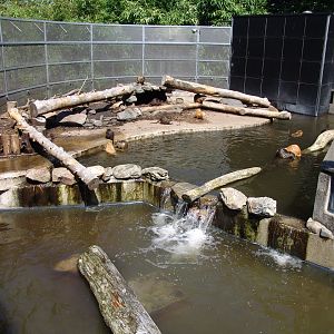 Coypu's (Myocastor coypus) Enclosure