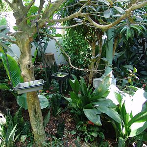 Renovated Monkey House