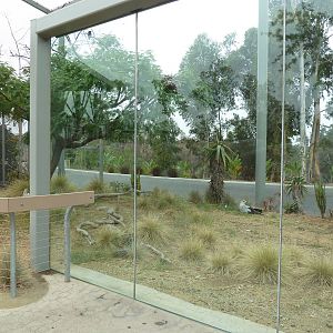 Elephant Odyssey - Secretary Bird/Black-Billed Magpie Exhibit