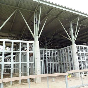 Elephant Odyssey - Asian Elephant Exhibit