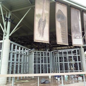 Elephant Odyssey - Asian Elephant Exhibit